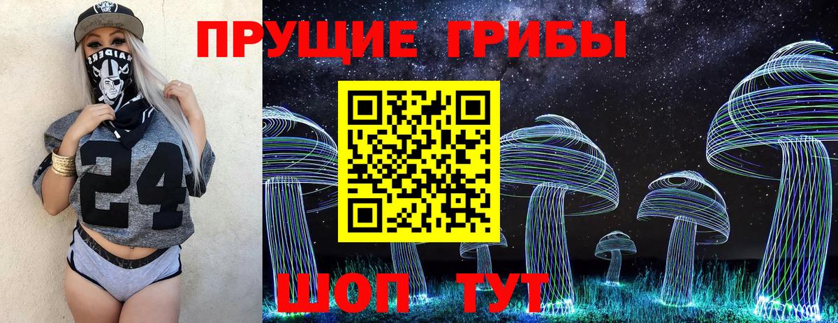 Россошь  Галлюциногенные грибы MAGIC MUSHROOMS  Псилоцибиновые грибы MAGIC MUSHROOMS  Вход с VPN 