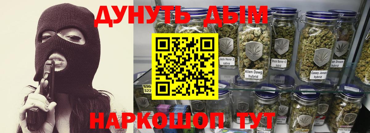 Конопля гибрид Россошь
